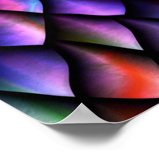 Rainbow Dragon Scales Poster (Borda)