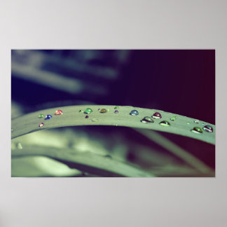 Rainbow Drop Poster / Framed Impressão