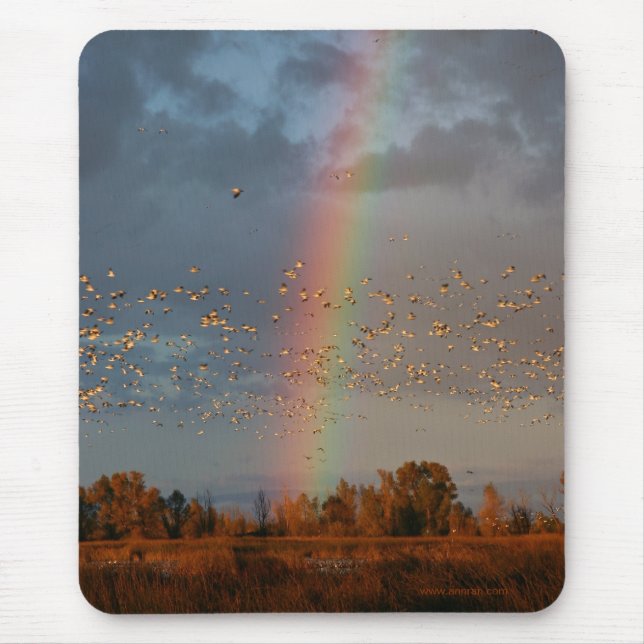 Rainbow & Geese Mousepad (Frente)