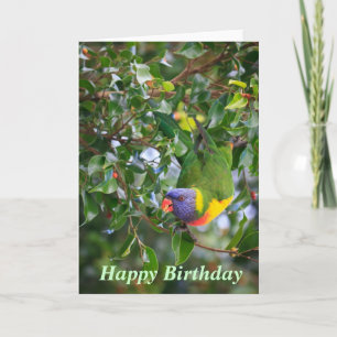Rainbow Lorikeet Feliz Aniversário Cartão de Sauda