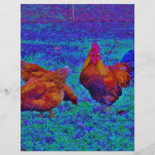 Rainbow Rooster & Hens, Blue Elétrico