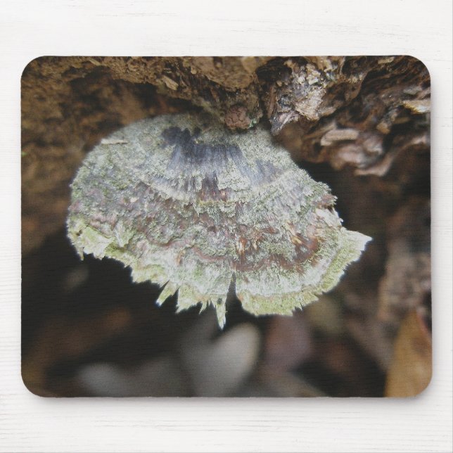 Rainbow Shelf Fungus Mousepad (Frente)