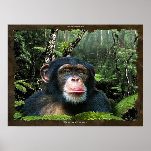 "RAINFOREST DREAMS II" Chimpanzé Art Poster (Frente)