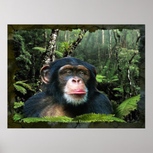 "RAINFOREST DREAMS II" Chimpanzé Art Poster