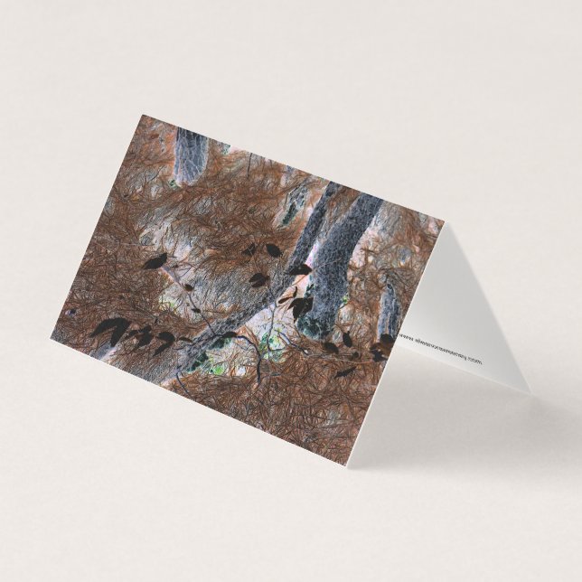 "Raízes" Árvores Arborizadas, Agulhas de Pinheiros (Frente)