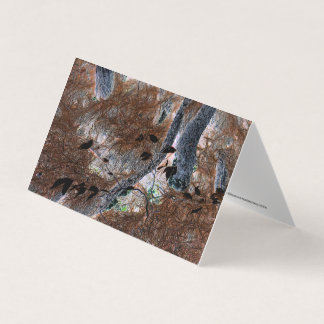 "Raízes" Árvores Arborizadas, Agulhas de Pinheiros