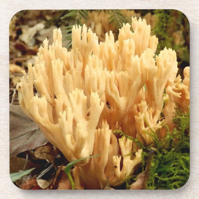 Ramaria stricta Fungi Duro Porta copos de plástico (Frente)