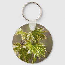 Ramificação verde-branca com chaveiro de folhas pe