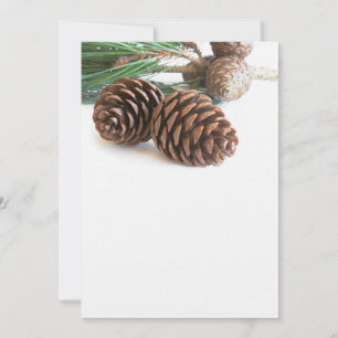 Ramo de pinheiros e cones