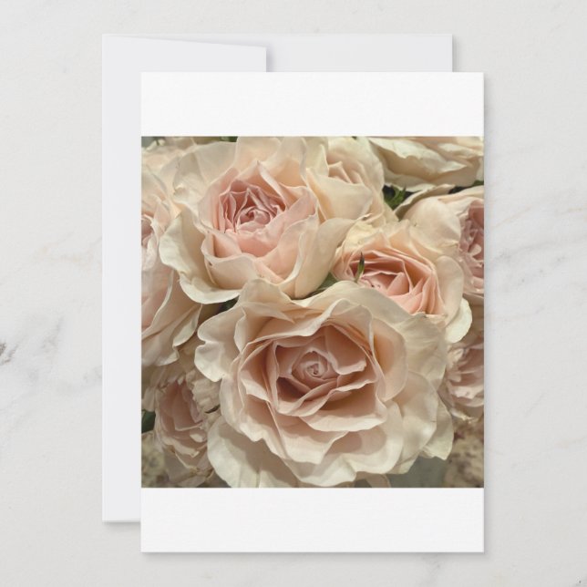 Ramo de Rosa Blush Suave Cartão de Saudação Românt (Frente)