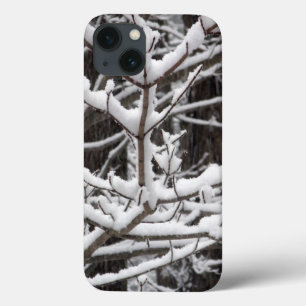 Ramos Coberto de Neve
