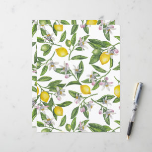 Ramos de limão com flores e fruta em branco