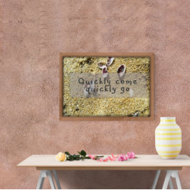 Rapidamente venha logo inspirar-se poster de sabed