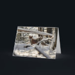 Raposa vermelha no cartão de Natal de madeira do<br><div class="desc">Raposa vermelha na madeira nevado</div>