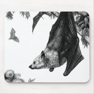 Raposas de vôo Mousepad