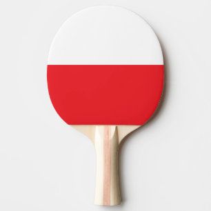 RAQUETE DE PING PONG