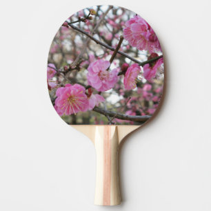 Raquete De Ping Pong 桜 do (cor-de-rosa da flor de cerejeira/Sakura/