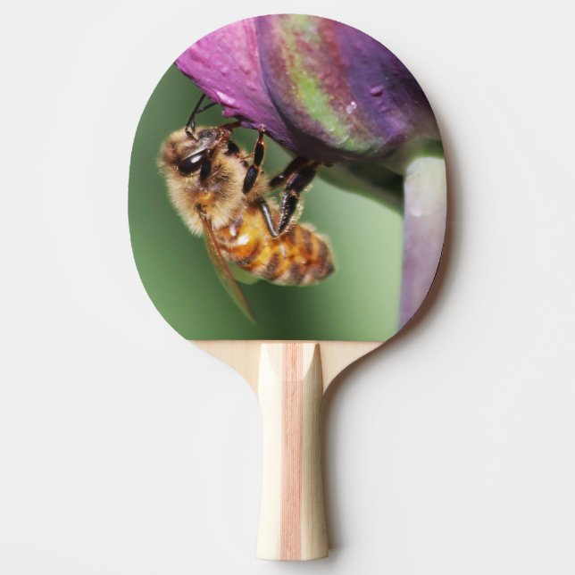 Raquete De Ping Pong Abelha Felpudo Queda (Frente)