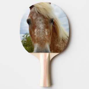 Raquete De Ping Pong Açúcar Do Cavalo Appaloosa,