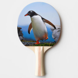 Raquete De Ping Pong Adicione Seus Próprios presentes personalizados do