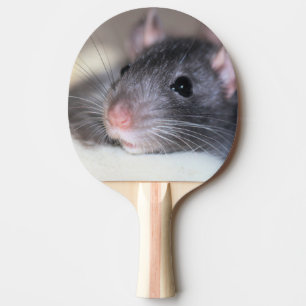 Raquete De Ping Pong Adorável