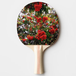 Raquete De Ping Pong Airelas vermelhas