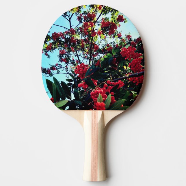 Raquete De Ping Pong Airelas vermelhas (Frente)
