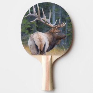 Raquete De Ping Pong Alce Rocky Mountain macho