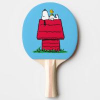 Amendoins | Snoopy & Woodstock Doghouse