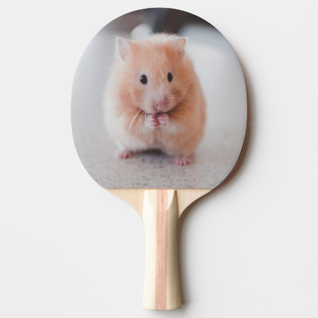 Raquete De Ping Pong Animais de amores de hamster (Frente)