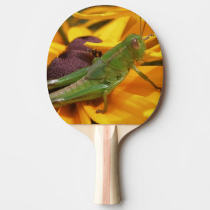 Raquete De Ping Pong Aqui está Olhando para você - Gafanhoto
