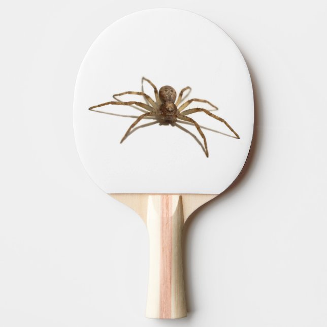 Raquete De Ping Pong Aranha (Frente)