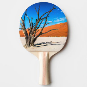 Raquete De Ping Pong Árvore Morto de Deadvlei, Namíbia