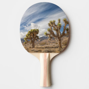 Raquete De Ping Pong Árvores de Joshua no deserto