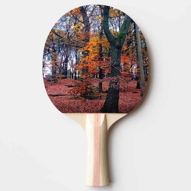 Raquete De Ping Pong Árvores negras com folhas de laranja (Frente)