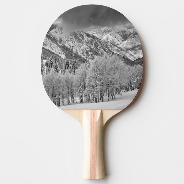 Raquete De Ping Pong Árvores perenes e álamos em uma tempestade de neve (Frente)