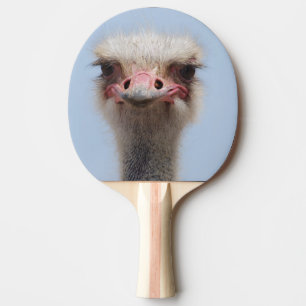 Raquete De Ping Pong Avestruz