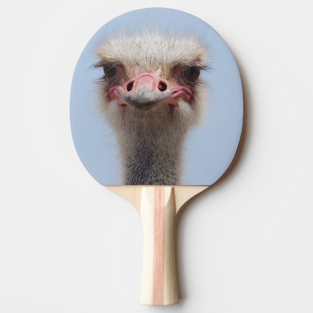 Raquete De Ping Pong Avestruz (Frente)