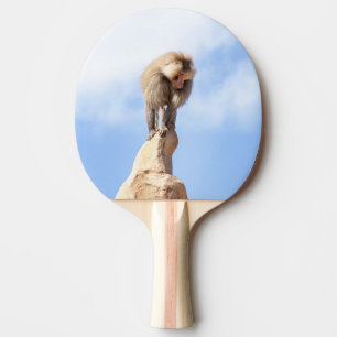Raquete De Ping Pong Babuíno no topo de uma montanha