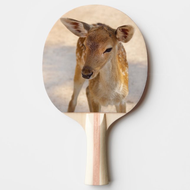 Raquete De Ping Pong Baby Deer (Frente)