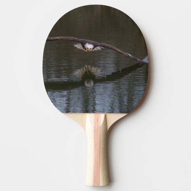 Raquete De Ping Pong Bald Eagle em Voo (Frente)