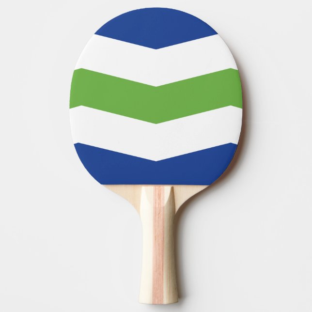 Raquete De Ping Pong Bandeira de Burlington, Vermont (Frente)