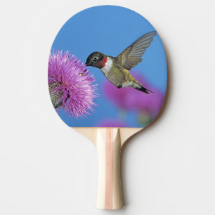 Raquete De Ping Pong Beija-flor-de-garganta-rubí