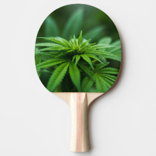 Raquete De Ping Pong Bela Semana