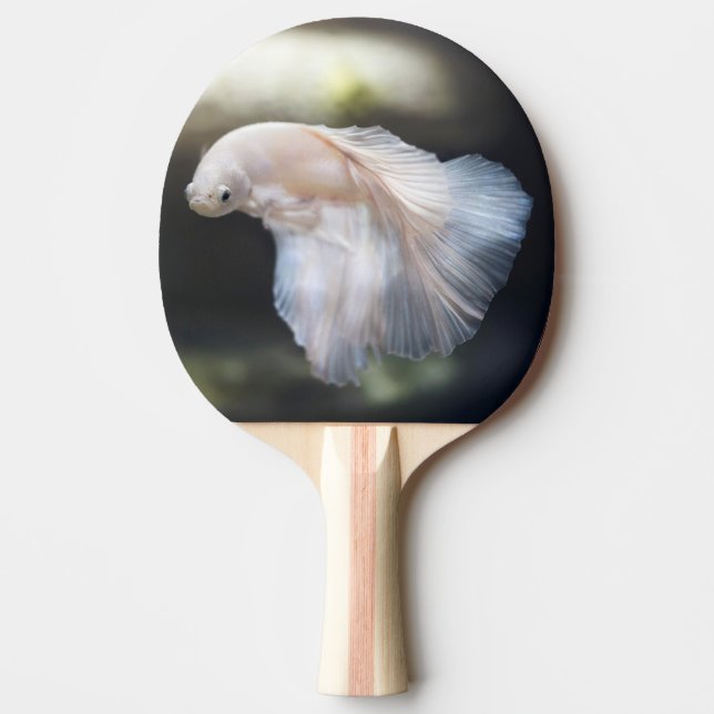 Raquete De Ping Pong Belo Siamês Branco Betta Lutando Peixes (Frente)