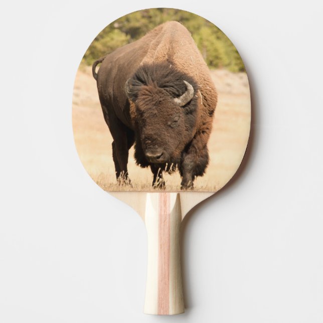 Raquete De Ping Pong Bisonte (Frente)