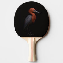 Raquete de ping pong Black 4 Luxe, Garça-vermelha