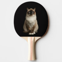 Raquete de ping pong Black 4 Luxe, Gato Birmanês