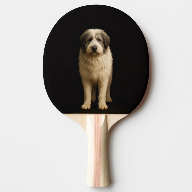 Raquete de ping pong Black 4 Luxe, Mioritic Shephe (Frente)