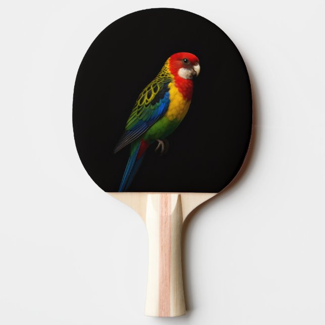 Raquete De Ping Pong Black 4 Luxe ping pong paddle, Eastern Rosella (Verso)